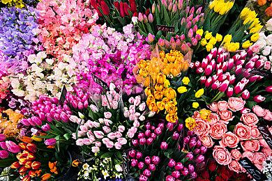 《火影忍者：终极风暴羁绊》发布新预告 拥有游戏原创剧情